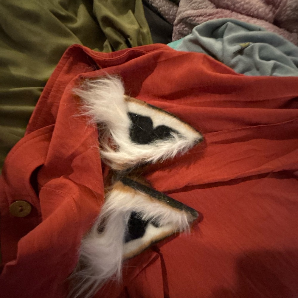 Fox ears